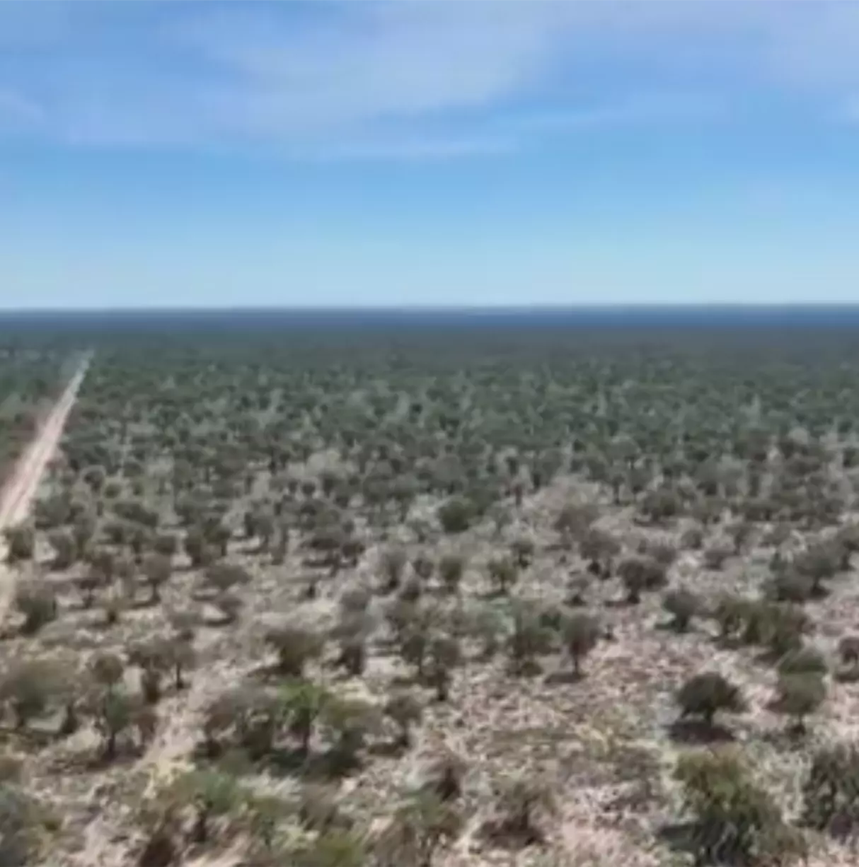 Oportunidad! - campo ganadero de 2400 ha.