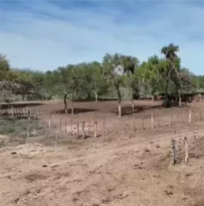 Oportunidad! - campo ganadero de 2400 ha.