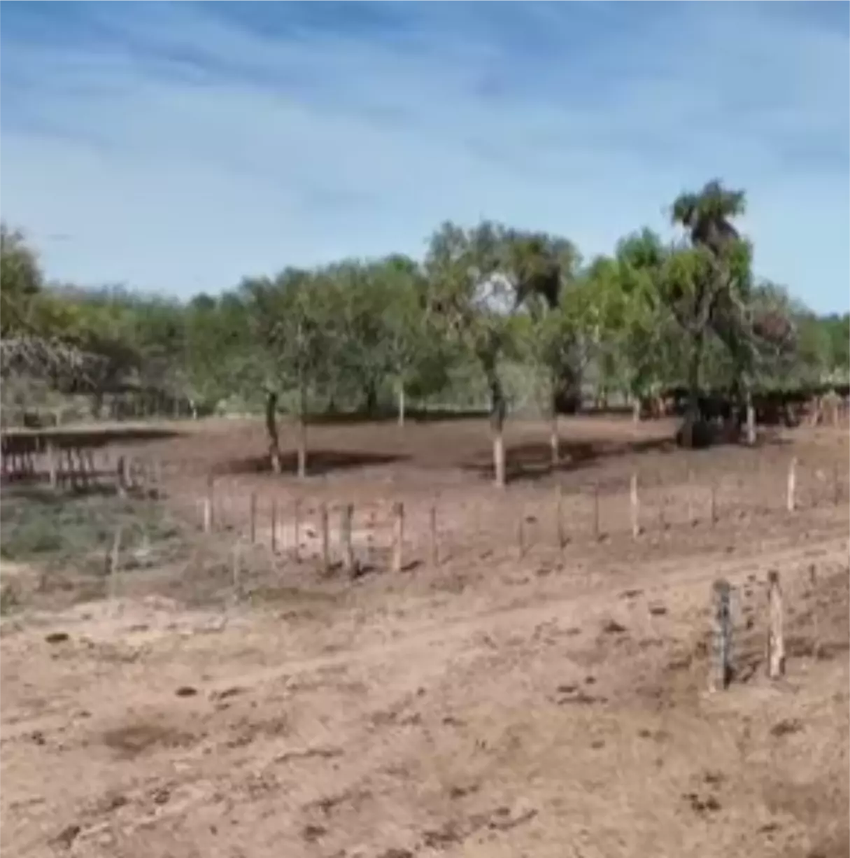 Oportunidad! - campo ganadero de 2400 ha.