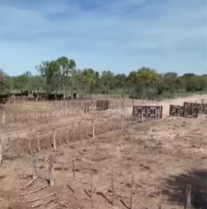Oportunidad! - campo ganadero de 2400 ha.