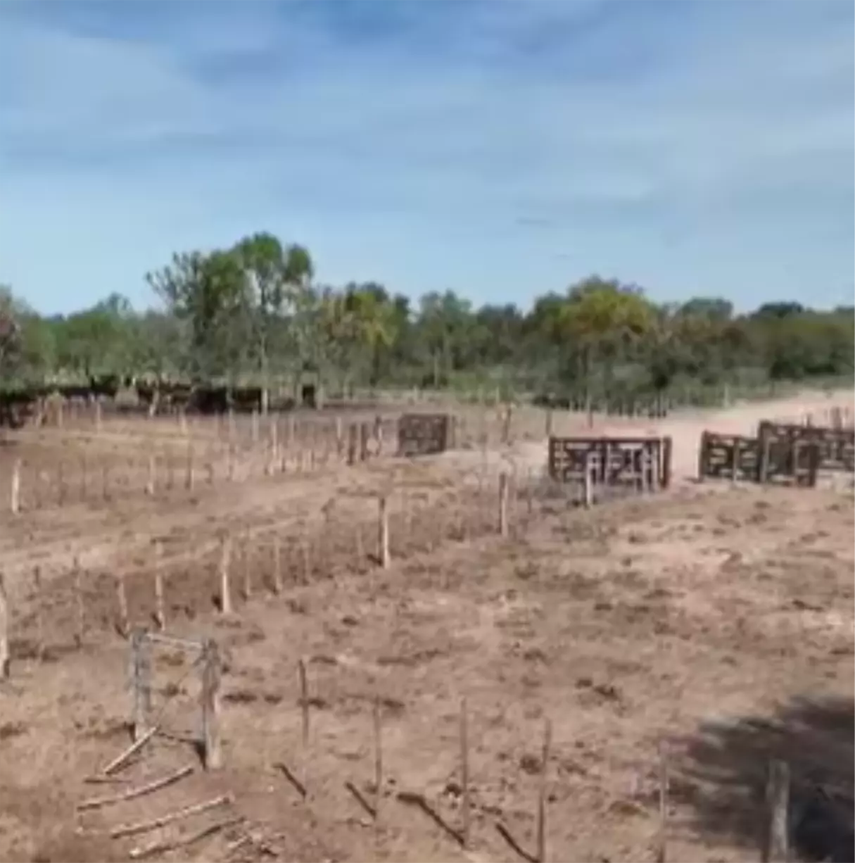 Oportunidad! - campo ganadero de 2400 ha.