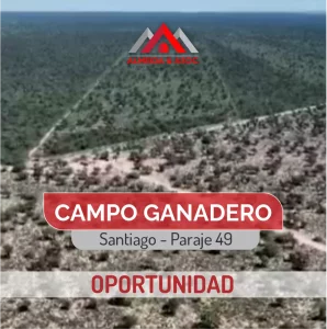 Oportunidad! - campo ganadero de 2400 ha.