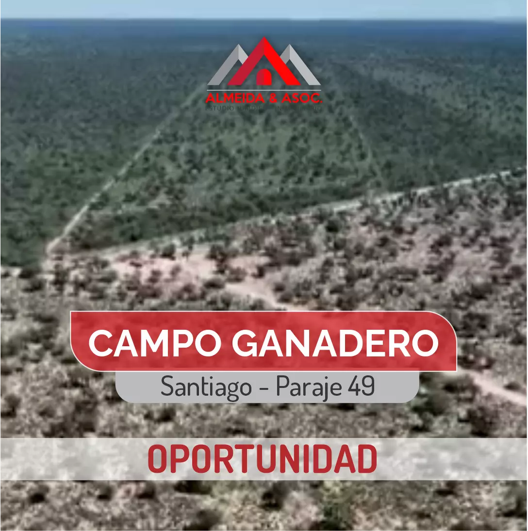 Oportunidad! - campo ganadero de 2400 ha.