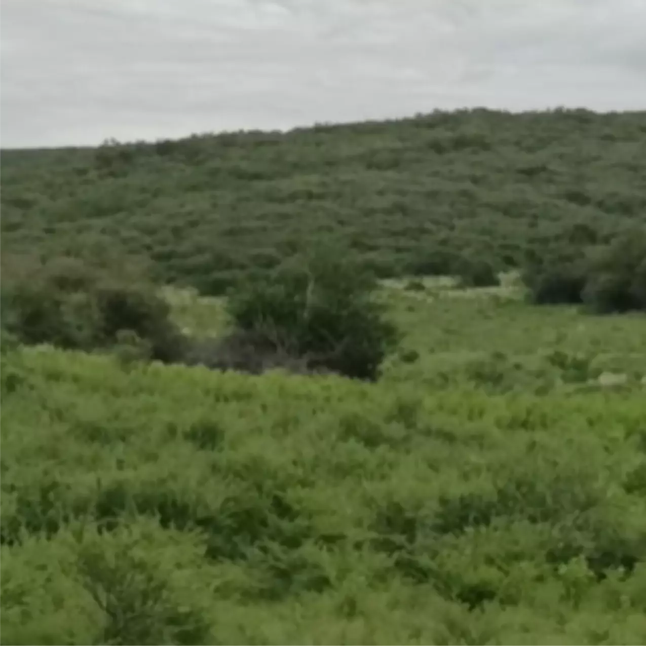 Oportunidad - Campo en Tulumba