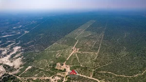 Campo en venta Santiago del Estero