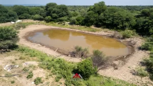 Campo en venta Santiago del Estero