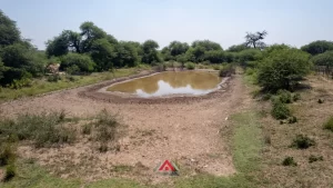 Campo en venta Santiago del Estero