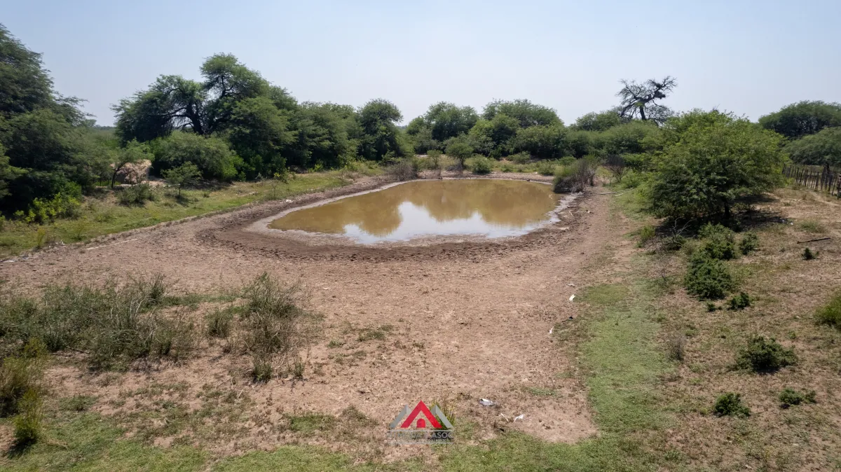 Campo en venta Santiago del Estero