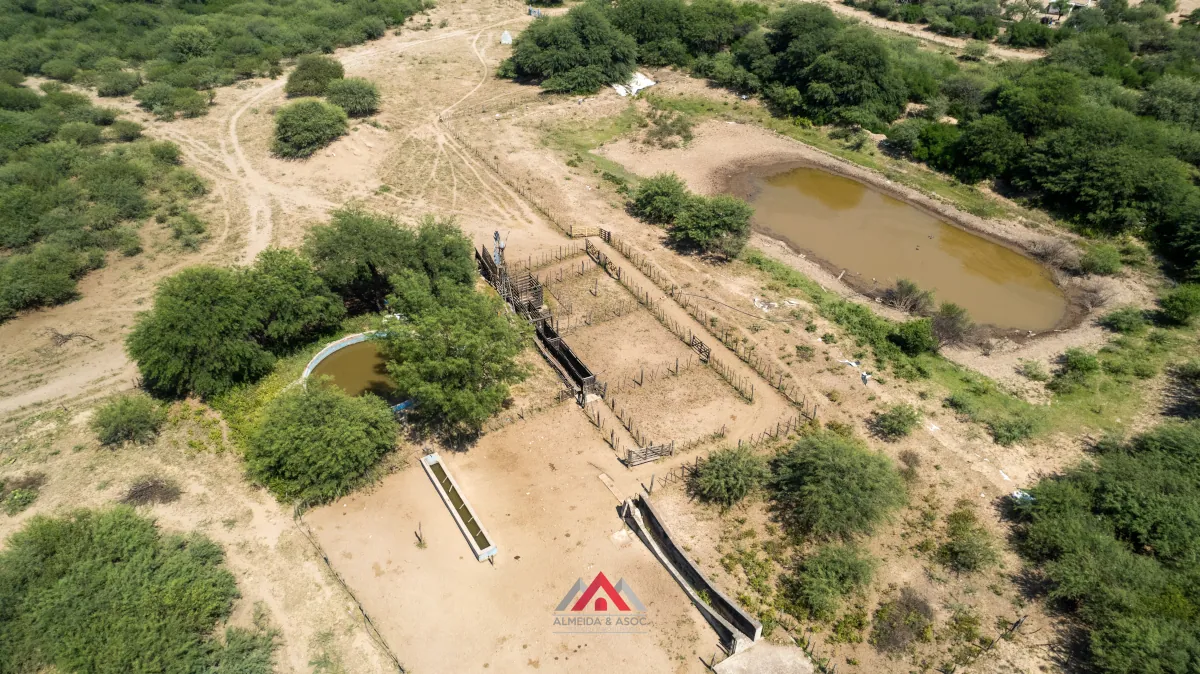 Campo en venta Santiago del Estero
