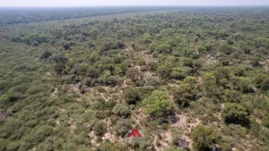Campo en venta Santiago del Estero