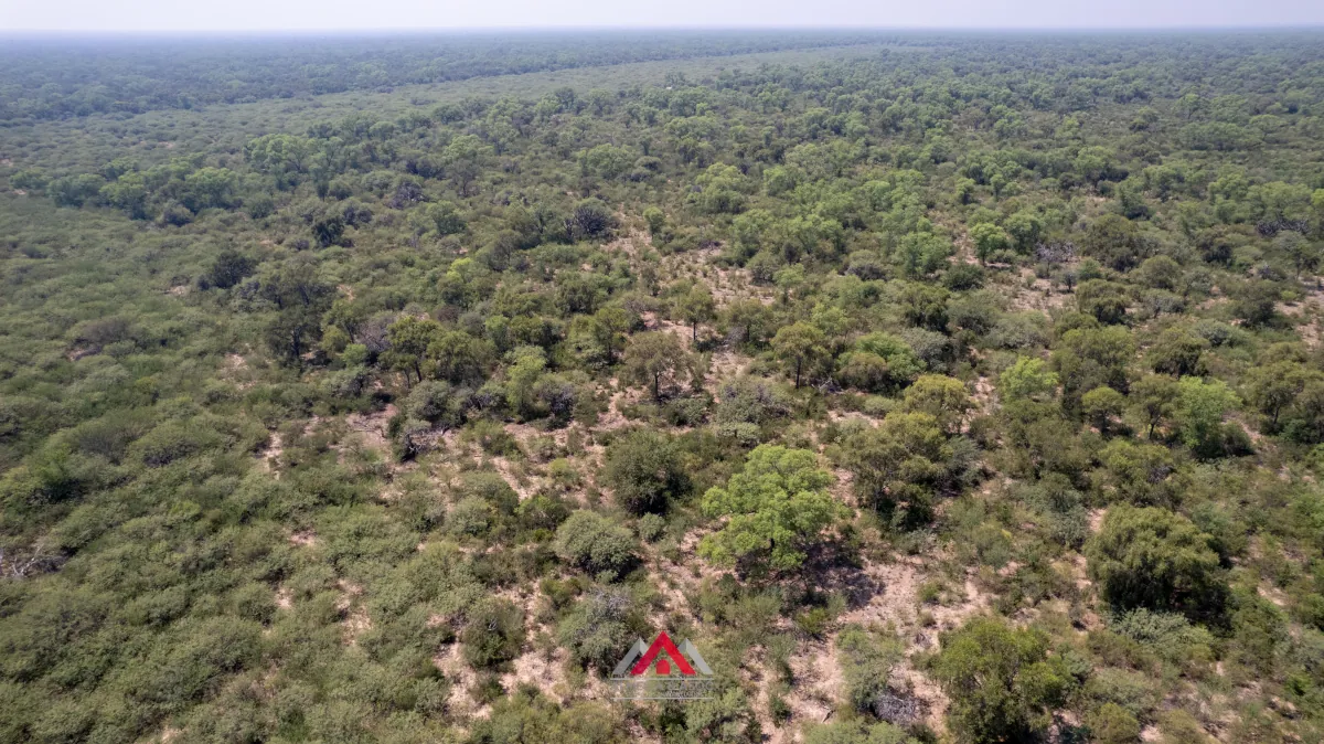 Campo en venta Santiago del Estero