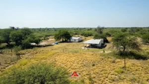 Campo en venta Santiago del Estero